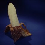 El banano emplumado