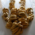 Monkey Banana