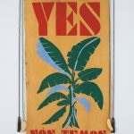 Yes Nós Temos Bananas