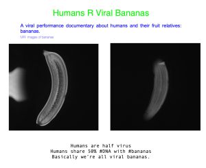 Humans R Viral Bananas