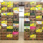 Trasfondo (proyecto de gran escala compuesto por las obras Banana Wall, Chimborazo dreams, Splash en la penitenciaría, Untitled – Cajas de luz, Tótem internacional, Teotihuacán amarillo y Mercamadrid)