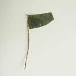 Bandera