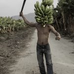 Los encantos de la violencia